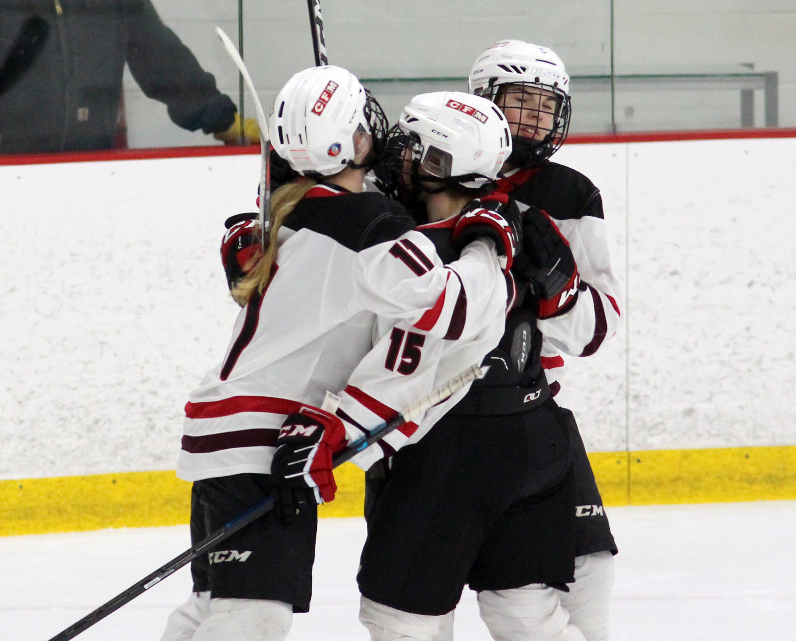 Medford at Chippewa Falls/Menomonie girls hockey 1-30-20